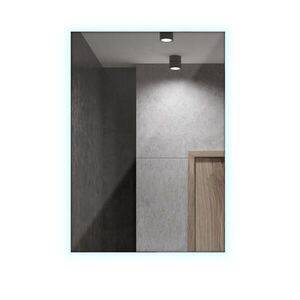 TULUP ZRCADLO Obdélníkové 40x60 cm LED 4000K neutrální světlo obraz