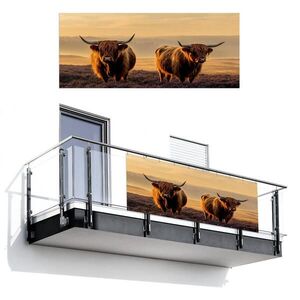 MuchoWow BALKONOVÁ ZÁSTĚNA Skotští horalé - Vřesoviště - Krajina - Zvířata 300x120 cm obraz