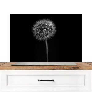 MuchoWow KUCHYŇSKÁ ZÁSTĚNA Pampeliška - černá - květinová - botanická 80x55 cm obraz