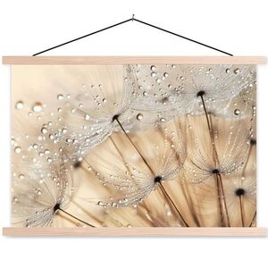 MuchoWow PLAKÁT S MAGNETICKOU LIŠTOU Pampeliška - Abstraktní - Příroda - Béžová 90x60 cm obraz