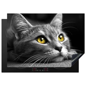 MuchoWow KRYT NA INDUKČNÍ DESKU Kočka - Grey - Zvířata - Cat 75x52 cm obraz