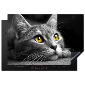 MuchoWow KRYT NA INDUKČNÍ DESKU Kočka - Grey - Zvířata - Cat 78x52 cm obraz