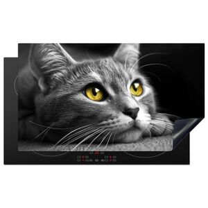 MuchoWow KRYT NA INDUKČNÍ DESKU Kočka - Grey - Zvířata - Cat 90x52 cm obraz