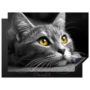MuchoWow KRYT NA INDUKČNÍ DESKU Kočka - Grey - Zvířata - Cat 71x52 cm obraz