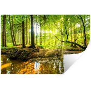 MuchoWow SAMOLEPKA NA ZEĎ Les - Krajina - Voda - Stromy - Slunce - Zeleň - Příroda 60x40 cm obraz