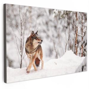 MuchoWow OBRAZ NA PLÁTNĚ Vlk - Zima - Sníh - Příroda - Zvířata 60x40 cm obraz