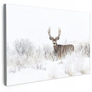 MuchoWow OBRAZ NA PLÁTNĚ Jelen - Zima - Sníh - Zvířata - Roční období - Bílá 120x80 cm obraz