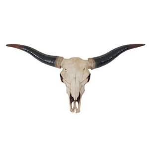MCW DEKO LEBKA LONGHORN Béžová obraz