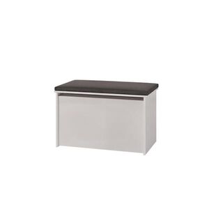 RAUMHIRSCH FURNITURE TRUHLA NA HRAČKY Daria obraz