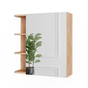 Vicco ZRCADLOVÁ SKŘÍŇKA Fynn Zlatý mocný dub 62 x 64 cm obraz