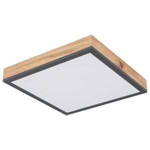 Globo LED PANEL, 30/30/6 cm obraz
