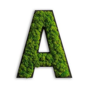 StyleGREEN MECHOVÝ OBRAZ obraz