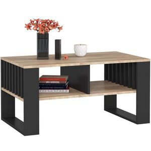 RAUMHIRSCH FURNITURE KONZOLOVÝ STOLEK dub Sonoma, černý 45/92/53 obraz