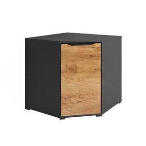 Vicco PŘÍBORNÍK Ruben Zlatý mocný dub 78 x 76.6 cm s dveřmi obraz