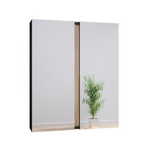 Vicco KOUPELNOVÁ ZRCADLOVÁ SKŘÍŇKA Gloria Antracit 70.4 x 84 cm se 2 dvířky obraz