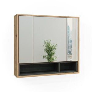 Vicco KOUPELNOVÁ ZRCADLOVÁ SKŘÍŇKA Beatrice Dub Artisan/antracit 80 x 72 cm obraz