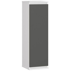 RAUMHIRSCH FURNITURE ZÁVĚSNÁ SKŘÍŇ Bílá, grafitově šedá 99/30/30 obraz
