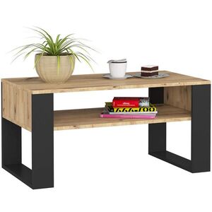 RAUMHIRSCH FURNITURE KONZOLOVÝ STOLEK Dub Artisan, černá 45/92/50 obraz