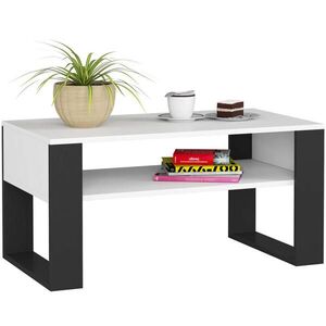 RAUMHIRSCH FURNITURE KONZOLOVÝ STOLEK Bílý, černý 45/92/50 obraz