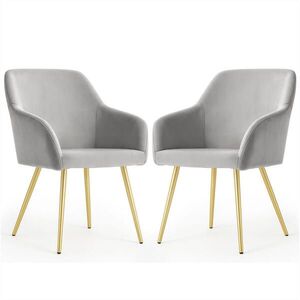 RAUMHIRSCH FURNITURE ČALOUNĚNÁ ŽIDLE, sada 2 ks, kovové nohy šedé, zlaté 54, 5/83/58 obraz