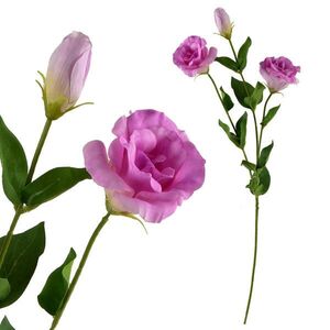 Mondex UMĚLÁ KVĚTINA, plast, dark rose obraz
