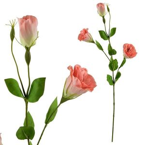 Mondex UMĚLÁ KVĚTINA, plast, old rose obraz