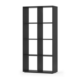Vicco DĚLICÍ STĚNA Scutum Černá 143 x 72 cm obraz