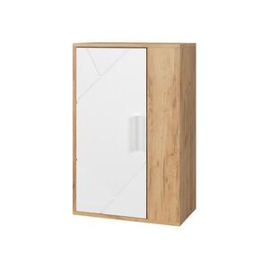 Vicco NÁSTĚNNÁ SKŘÍŇKA Berno Zlatá síla dub/bílá 50.1 x 78.4 cm se 2 přihrádkami obraz