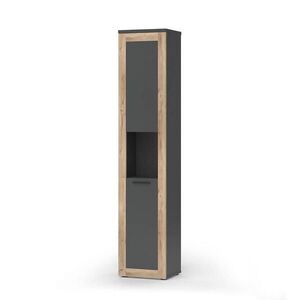 Vicco KOUPELNOVÁ SKŘÍŇKA Niko Antracit 40 x 194.3 cm obraz