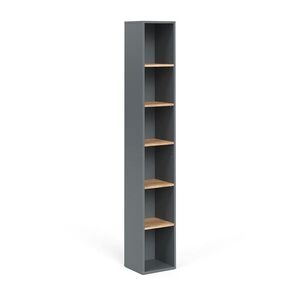Vicco VYSOKÁ SKŘÍŇKA Viktor Antracit/zlatý dub 30 x 188.6 cm obraz