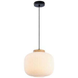Collett's Monde ZÁVĚSNÉ SVÍTIDLO, 25/120 cm obraz