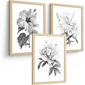 PLAKAT Sada 3 obrázků květin. Dekorativní nástěnné tisky Květiny tužkou. botanický plakát na zeď.Rám z lehkého dřeva velikosti A3 obraz