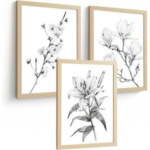 PLAKAT Sada 3 obrázků květin. Dekorativní nástěnné tisky Květiny tužkou. botanický plakát na zeď.Rám z lehkého dřeva velikosti A4 obraz