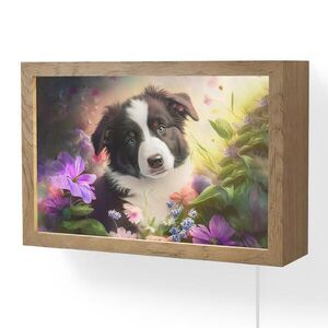 OnlyWow NÁSTĚNNÁ LAMPA Štěně - Slunce - Květiny - Příroda - Border kolie - Pes 30x20 cm obraz