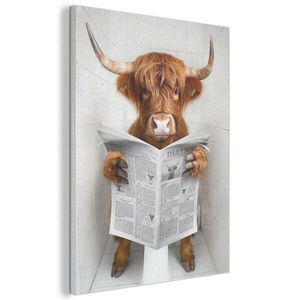 MuchoWow AKUSTICKÝ obraz Skotský horal - Zvíře - Noviny - Toaleta 60x80 cm obraz