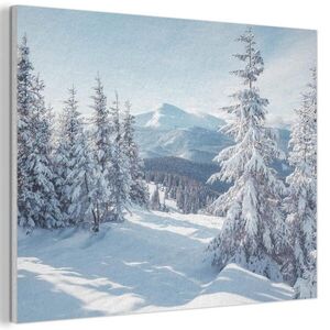 MuchoWow AKUSTICKÝ obraz Zimní krajina - Příroda - Hory - Stromy - Sníh 100x70 cm obraz