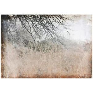 Wallarena FOTOTAPETA louka abstraktní hnědá 350x250 cm obraz