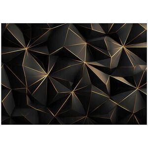 Wallarena ABSTRAKTNÍ geometrická fototapeta černá 250x175 cm obraz
