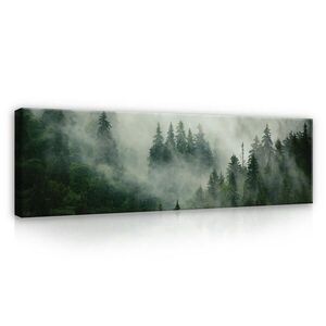 Wallarena OBRAZY Lesní mlha Moderní obývací pokoj Ložnice 145x45 obraz