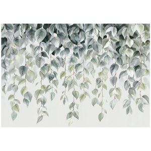 Wallarena FOTOTAPETA s listy visící zelené 350x250 cm obraz