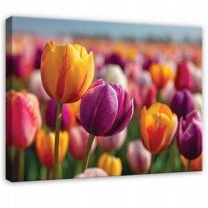 Wallarena PLÁTNO Květiny Tulipány Barevné 60x40 cm obraz