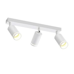 Nettlife STROPNÍ bodové svítidlo Staffelstein 3-plamenné 43/5/17 cm obraz