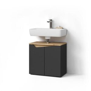 Livinity® TOALETNÍ STOLEK PRO UMYVADLO Timavo Antracit 60 x 57.5 cm se 2 dveřmi obraz