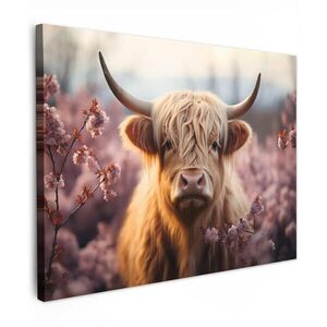 MuchoWow OBRAZ NA PLÁTNĚ Skotský horal - Jaro - Vysočina 40x30 cm obraz