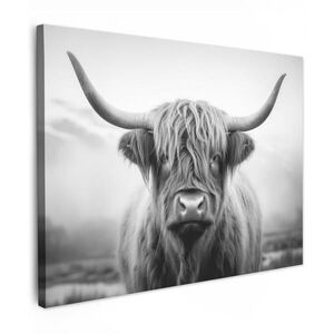 MuchoWow OBRAZ NA PLÁTNĚ Skotský horal - Mlha - Černá - Bílá 40x30 cm obraz