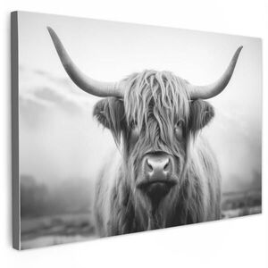 MuchoWow OBRAZ NA PLÁTNĚ Skotský horal - Mlha - Černá - Bílá 90x60 cm obraz
