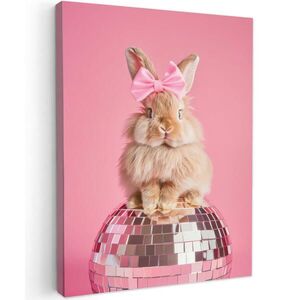 MuchoWow OBRAZ NA PLÁTNĚ Luk - Discoball - Králík 30x40 cm obraz