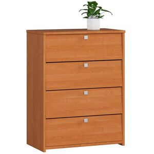RAUMHIRSCH FURNITURE SKŘÍŇ NA BOTY v barvě olše 80/60/33 obraz