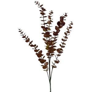 Mondex UMĚLÁ VĚTEV Eukalyptus, zelená, 80 cm obraz