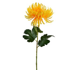 Mondex UMĚLÁ CHRYZANTÉMA, plast, 70/15cm obraz